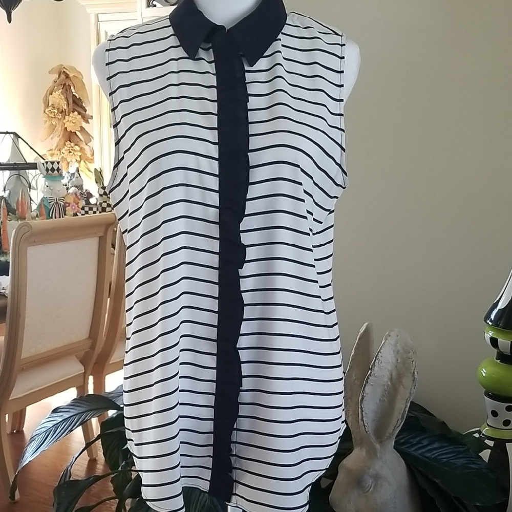 Ann Taylor Blue and White Striped Button Down Shirt